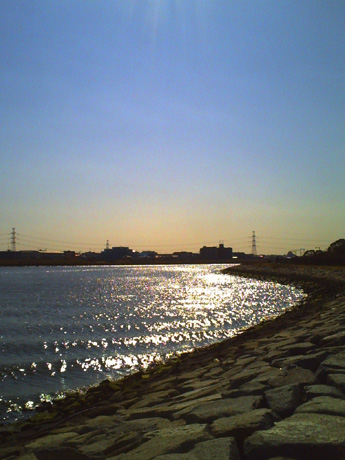 冬晴れの旧江戸川