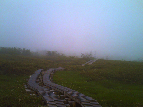 霧の弥陀ヶ原