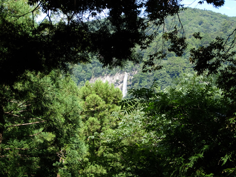 熊野古道から見る那智の滝