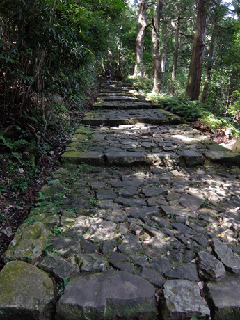 熊野古道の石畳・大門坂
