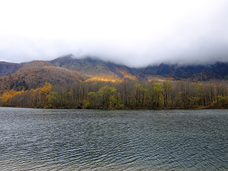大正池と雲に隠れた焼岳
