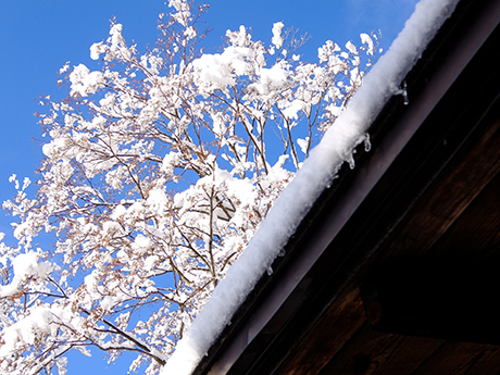 雪の草津ホテル